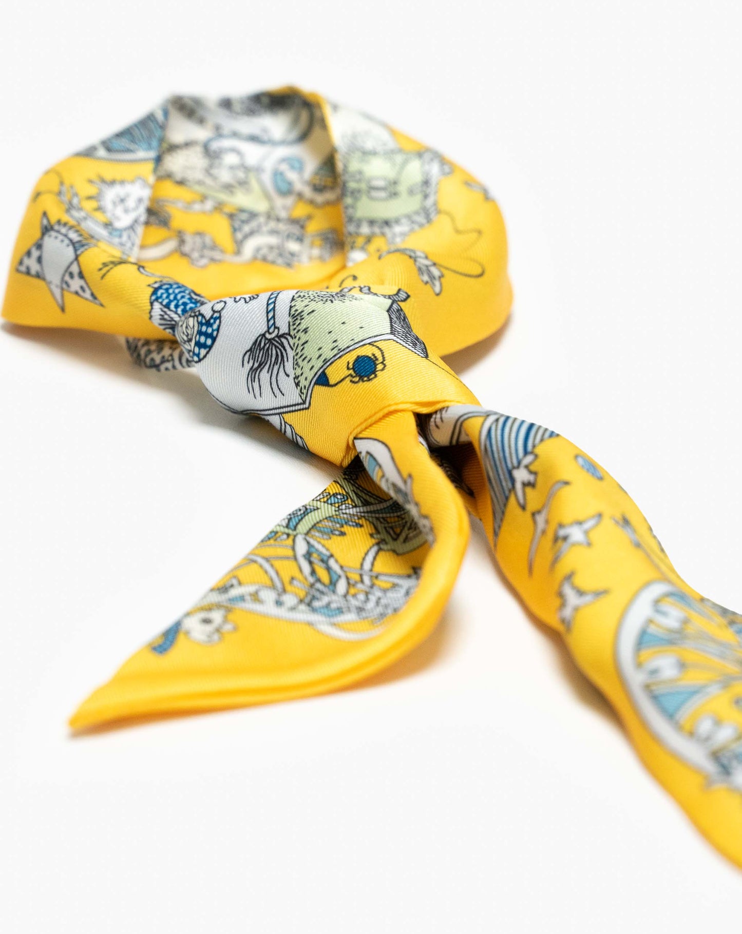 Risata Twill Scarf with Characters