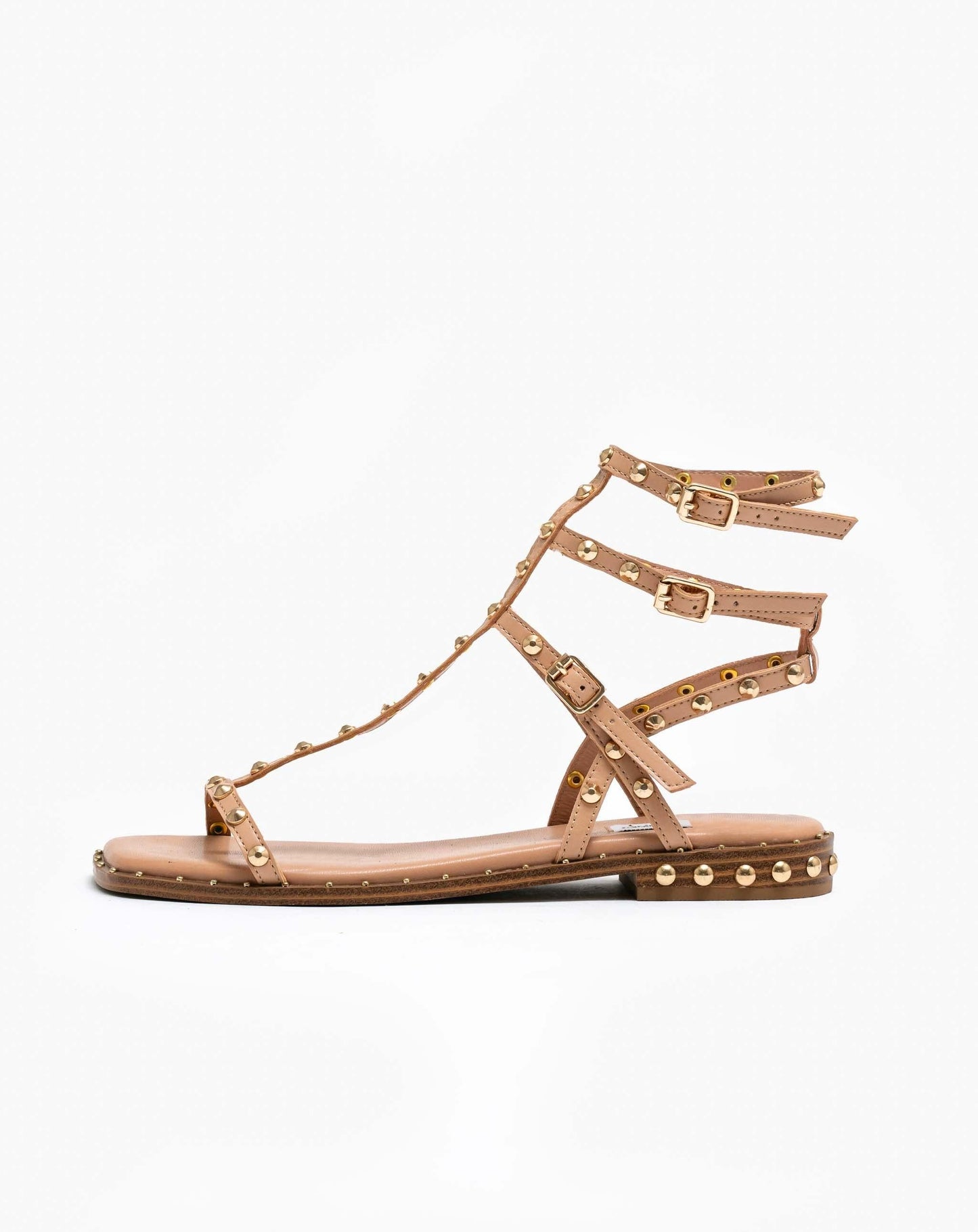 Soar Gladiator Sandal - Taupe / 3 Flats