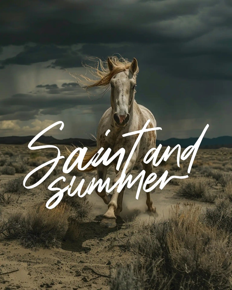 Wild horse running with flowing mane against dramatic sky.